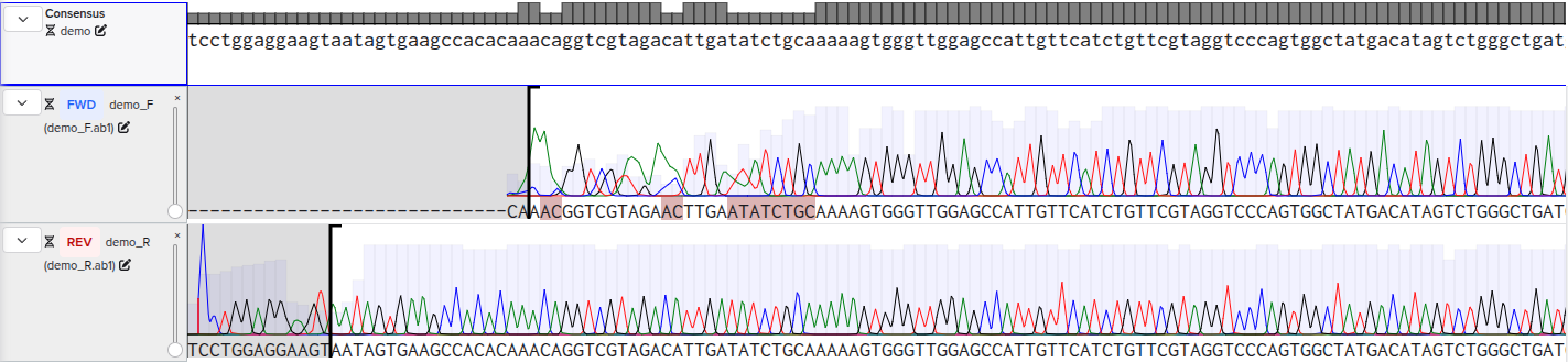Sample output — Chromatograms