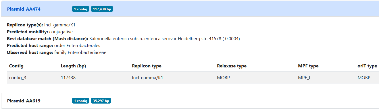 Sample output — Plasmid Detection Results