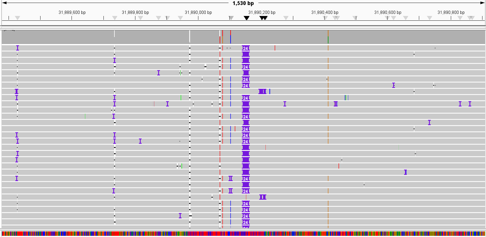 Sample output — Aligned Read Files